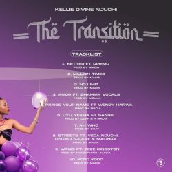 Kellie Divine Njuchi-The Transition Album