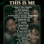 Dan Lu - This Is Me Album
